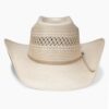 Resistol Cojo Special - Natural Straw/Tan - Image 3